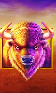 Buffalo King